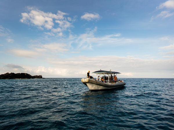 Morning Super Raft Snorkel