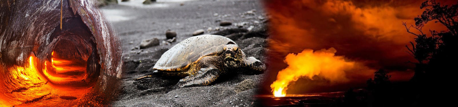 Kailani Tours Hawaii - Deluxe Big Island Day Tour Volcanoes & Dinner 