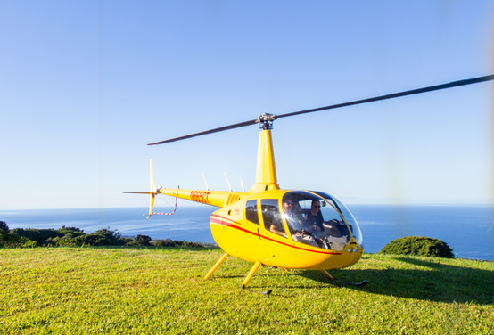 Kona Coffee & Coastline Adventure