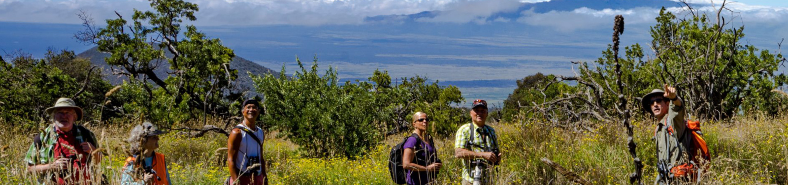 big-island-eco-tours-hawaii.jpg