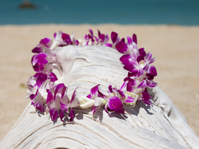big island lei greetings