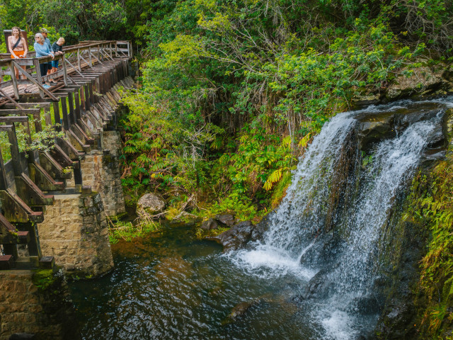 big-island-nature-tours
