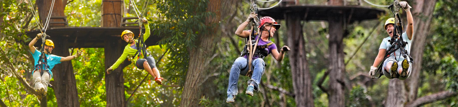 big-island-zipline-tours.jpg
