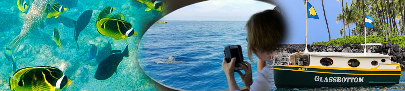 Kailua Bay Charter Company - Glass Bottom Boat Cruise 
