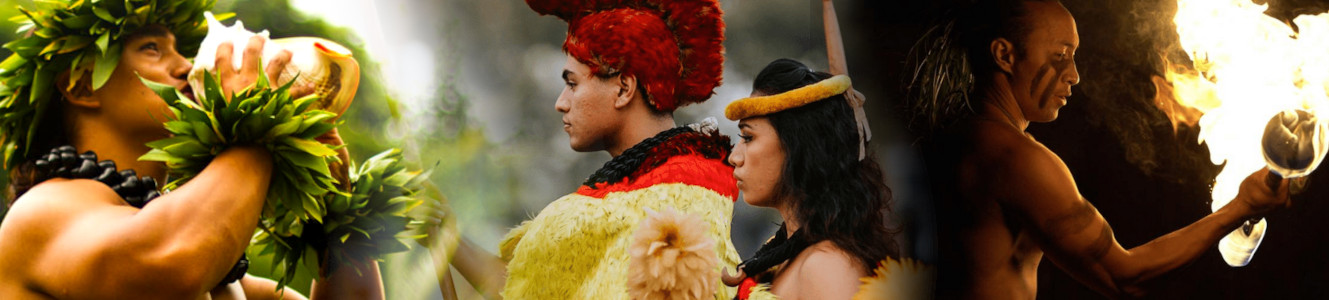 bigislandluaus-islandbreeze.jpg