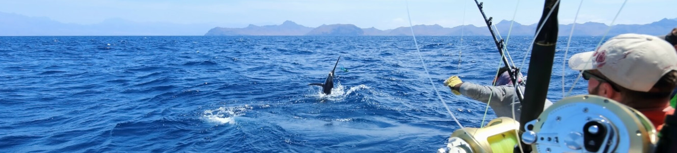 biteme-sportfishing-big-island-fishing.jpg