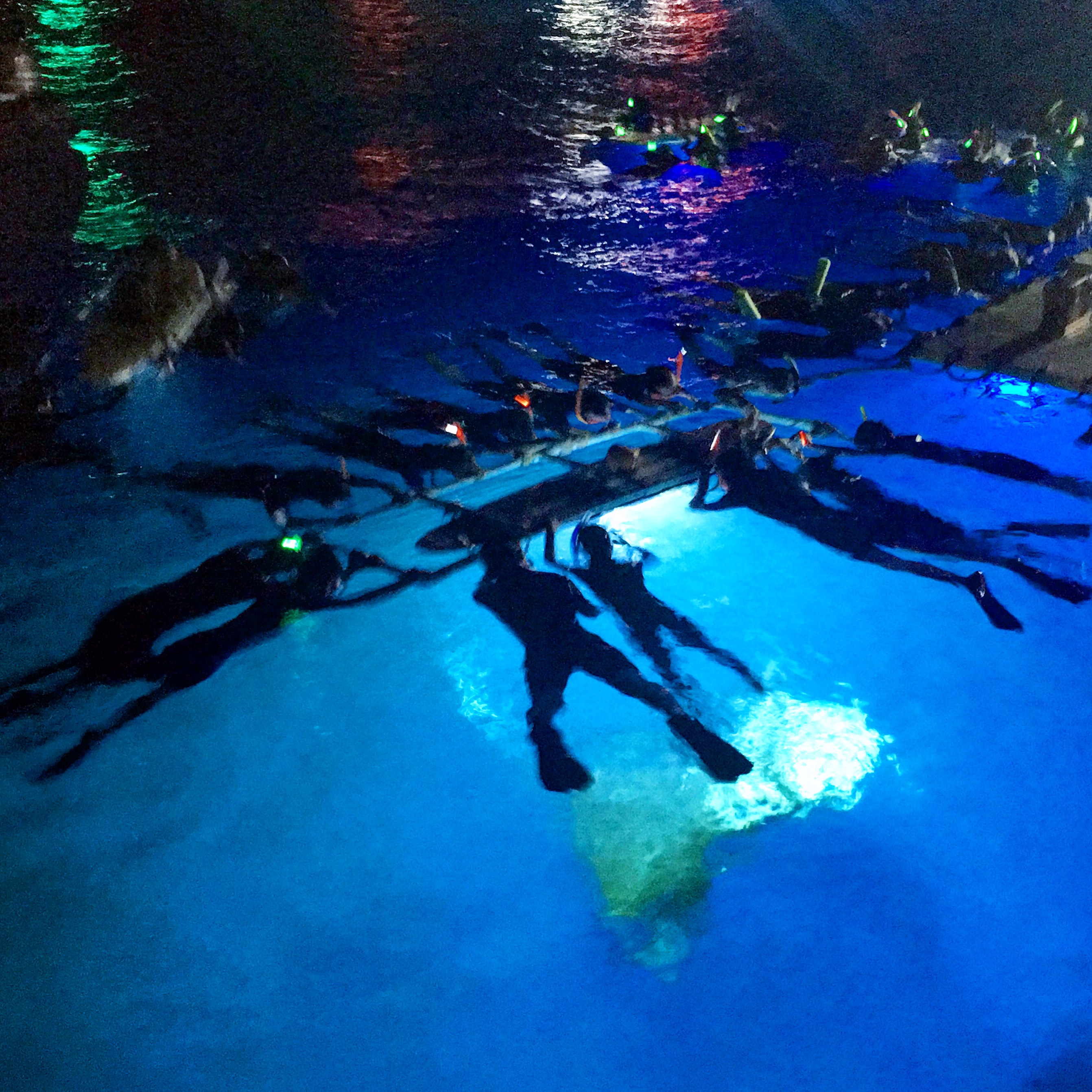 Ocean Encounters - Manta Ray Night Snorkel