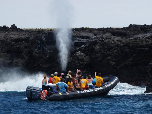 Beat the Crowd Hawaii Snorkeling Tour