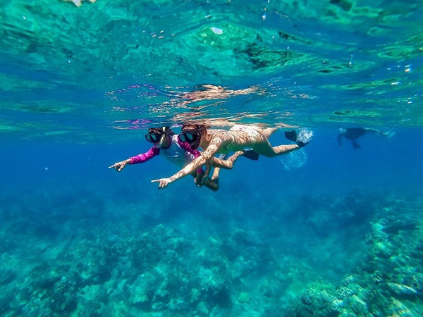 Snorkel Cruise