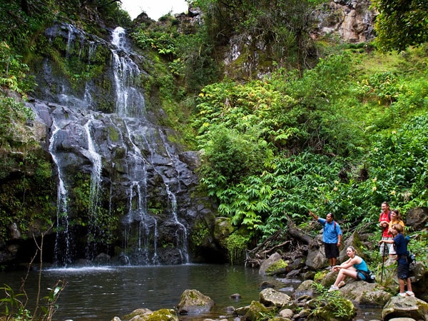Kohala Zipline - Kohala Zip & Dip