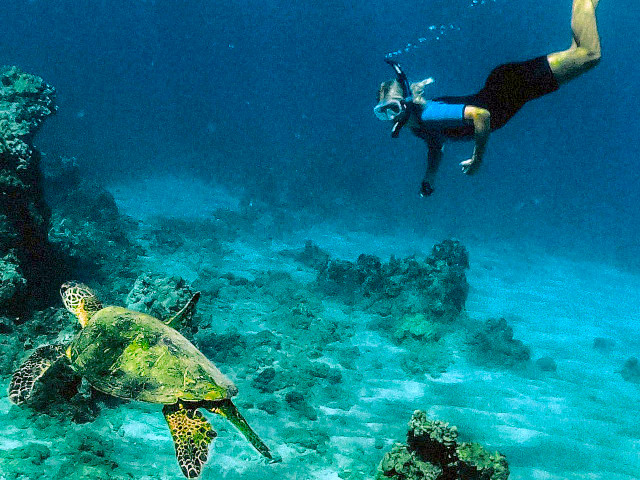 big-island-snorkeling-tours.jpg
